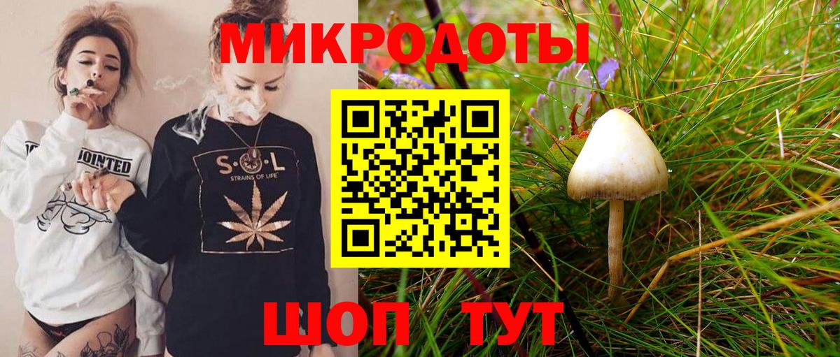 Ишимбай  Псилоцибиновые грибы ЛСД  Псилоцибиновые грибы мицелий  Вход с VPN 